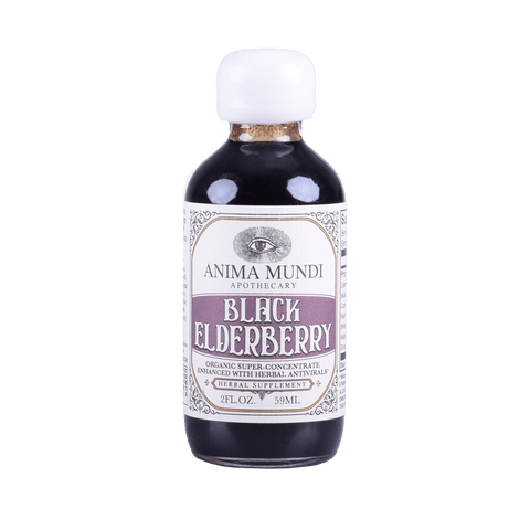 Black Elderberry